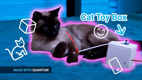 Keep your pets entertained with a push of a button in our new episode of 'Made with Quantum'